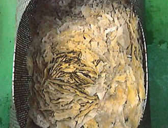 スケール除去装置_捕集事例3